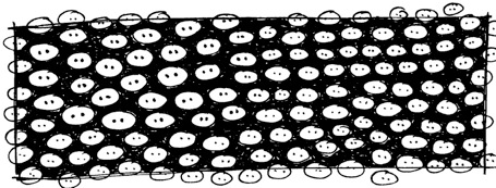 WTSN_01 BWSnoutDoodle