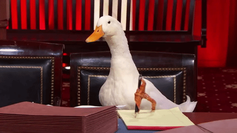 lawyerduck